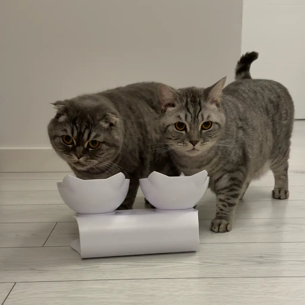 Set boluri pentru pisici cu înclinație