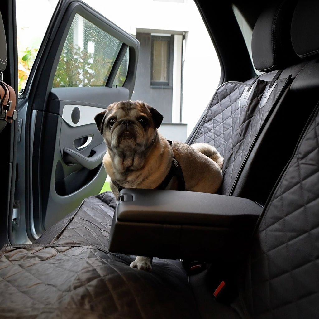 Husă auto universală pentru protecția banchetei și transportul animăluțelor